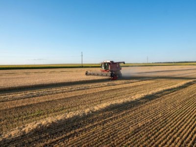 Un champ de blé dans la région de Kharkiv, le 18 juillet 2022 - SERGEY BOBOK [AFP]