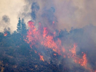 Un incendie ravage une forêt de Californie, le 2 août 2022 - DAVID MCNEW [AFP/Archives]