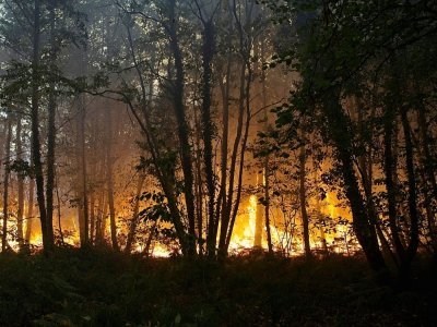 Incendie à Clefs-Val-D'Anjou, près de La Flèche, dans l'ouest de la France, le 9 août 2022 - GUILLAUME SOUVANT [AFP]