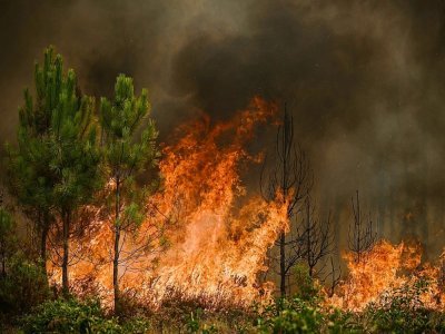 Incendie à Saint-Magne, le 11 août 2022 en Gironde - Philippe LOPEZ [AFP]