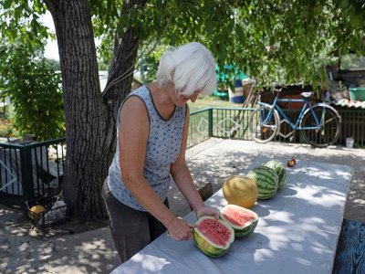 Anastasia Roudenko dans son jardin, le 13 août 2022 à Vychtchetarassivka, près de de la centrale nucléaire de Zaporijjia (Ukraine) - BULENT KILIC [AFP]