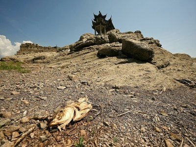 Une carcasse de poisson près de l'île Luoxing Dun, habituellement à moitié submergée à cette période de l'année, dans le lac Poyang en Chine, le 23 août 2022 - Noel Celis [AFP]