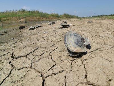 Un lac asséché à Nankin, dans l'est de la Chine, le 21 août 2022 - STR [AFP/Archives]
