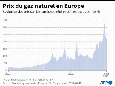 Prix du gaz naturel en Europe - Patricio ARANA [AFP]