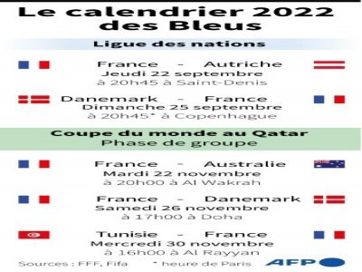 Le calendrier 2022 des Bleus - Vincent LEFAI [AFP]