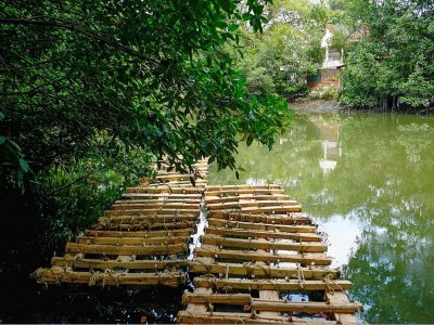 Des radeaux en bois sur lesquels sont posés des plants de palétuviers pour le reboisement de la mangrove dans l'estuaire de Salado, le 28 août 2022 au nord de Guayaquil, en Equateur - Marcos PIN [AFP]