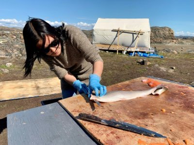 Annie Kootoo découpe un poisson lors d'un camp d'état à Iqaluit, le 27 juillet 2022 dans le grand nord canadien - Anne-Sophie THILL [AFP]