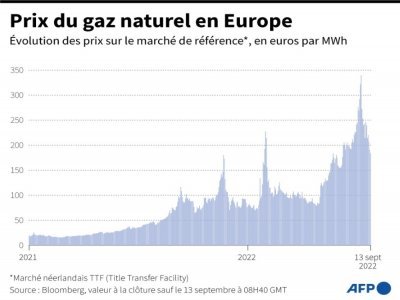 Prix du gaz naturel en Europe - Patricio ARANA [AFP/Archives]