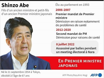 Shinzo Abe - Janis LATVELS [AFP]