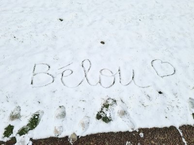 Après les artistes en herbe, les artistes en neige.