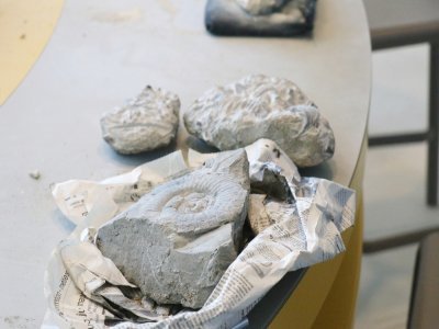 Encore enrobé de papier journal, un fossile venait d'être déposé le jour de notre venue au musée !