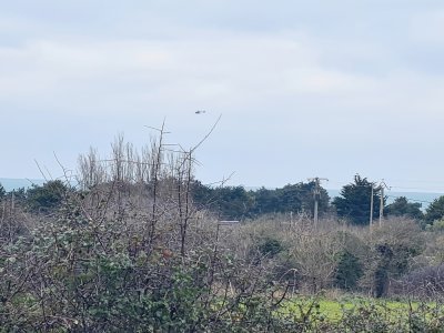 Un des hélicoptères survolant les côtes du nord-Cotentin.