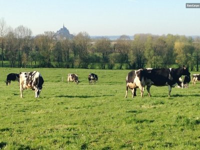À 15 minutes à vélo du Mont-Saint-Michel, cette ferme laitière accueille les visiteurs en van ou camping-car. - Home Camper