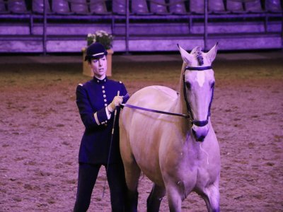 Le gala montre notamment comment travaillent les chevaux et leurs cavaliers.