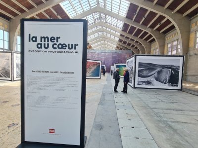 Différents clichés à retrouver dans la grande halle de la gare maritime transatlantique.