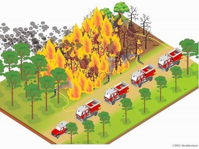 L'illustration montre ce qu'est un Groupe d'intervention feu de forêts (GIFF) lors d'une attaque offensive d'un feu. - SDIS-50