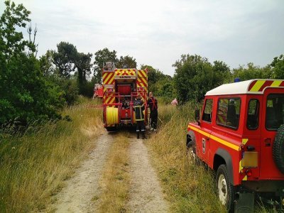 De nombreux véhicules du Service départemental d'incendie et de secours (SDIS) de la Manche ont été engagés. - SDIS-50