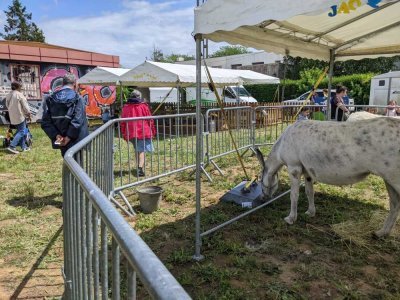 Une ferme pédagogique est installée dans l'ancien collège Jacquard dans le cadre du festival. - Joanne Lehoux