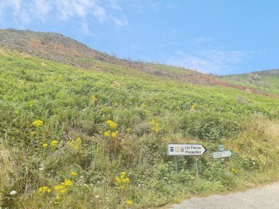 Un an après, le lieu-dit Les Pierres-Pouquelées à Vauville porte encore les traces de l'incendie