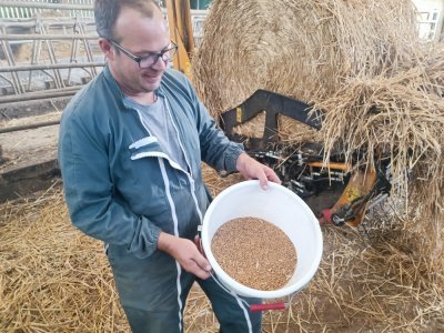 Mathieu Poixblanc a pu moissonner une cinquantaine d'hectares de blés soit 500 tonnes de blés à commercialiser. 