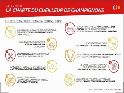 La charte du cueilleurs de champignons.