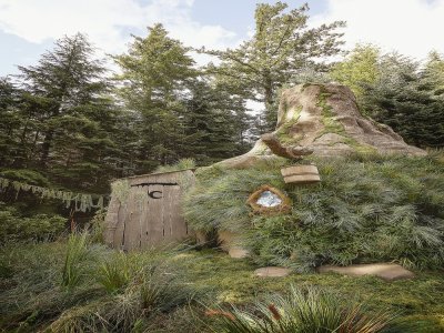 Airbnb propose de louer le marais inspiré de l'univers Shrek au mois d'octobre. - Alix McIntosh