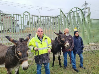 Philippe Drillon, à gauche, et les éleveurs Patrice et Martine Cador avec les deux ânes installés sur l'écopâturage depuis juillet.