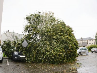 Dans le quartier du Val Saint-Jean, un arbre est tombé sur des voitures.