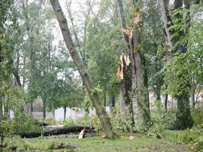 De grands arbres ont été touchés sur la place Charles de Gaulle à Bayeux.