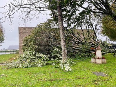 Un arbre est tombé dans la cantine scolaire Guy de Maupassant à Bricquebec.