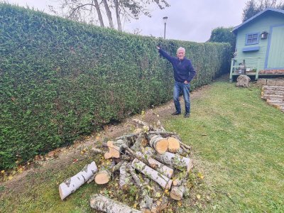 Un arbre situé sur un terrain communal jouxtant le domicile de Jean-Charles Flematti, habitant d'Elbeuf, est tombé sur le toit de sa véranda, provoquant quelques dégâts au niveau des tuiles.