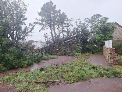 De nombreux sont tombés sur la côte ouest de la Manche comme ici entre Agon-Coutainville et Gouville-sur-Mer.