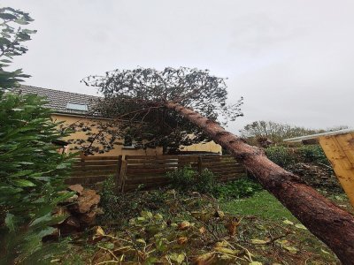 Les urgences : des arbres tombés sur maisons ou en mauvaise posture proche des habitations.