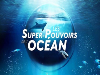 L'émission Les supers-pouvoirs de l'océan va permettre de recueillir des dons pour des projets en lien avec la protection des mers. - France TV