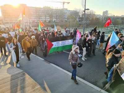 Dans le cortège du rassemblement pour la paix entre Israël et la Palestine à Rouen samedi 2 décembre, on pouvait lire sur certaines banderoles : "solidarité Palestine".
