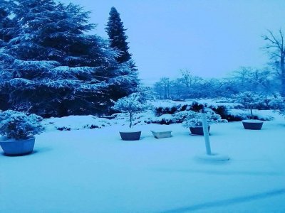 Dans l'Orne, à Crulai, la neige est tombée en abondance mardi 9 janvier. - Isabelle Olivier