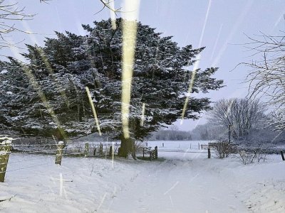 Beaucoup de neige ce mardi matin à Saint-Romphaire. - Romain Colin