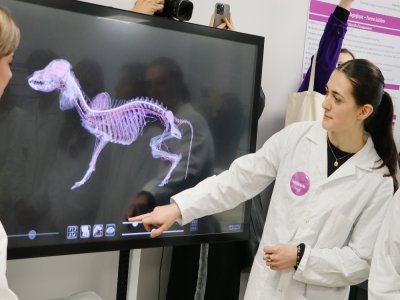 L'école est dotée notamment d'une table de dissection virtuelle pour former les étudiants à l'anatomie animale.