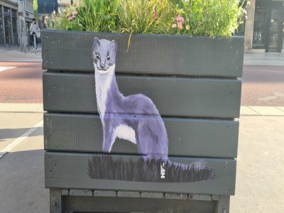 Liz Ponio est une artiste de street art rouennaise. Sa spécialité, ce sont les animaux. Elle a notamment réalisé cette hermine violette place de la Calende, près de la cathédrale à Rouen, ou encore un panda rue des Augustins.