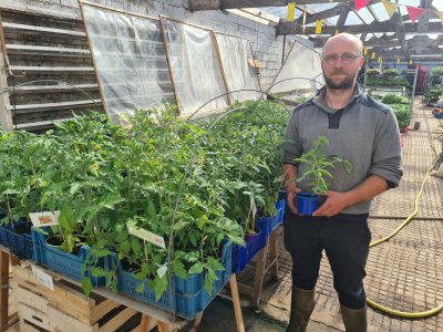 54 variétés de tomates sont proposées.