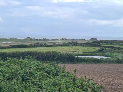 Les blockhaus visibles depuis le bourg de Néville-sur-Mer.