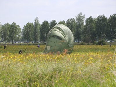 Gare à l'arrivée ! Un parachutiste a eu moins de chance et est arrivé dans un arbre.