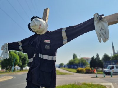 Près de 650 postes sont menacés sur le site ExxonMobil de Port-Jérôme.