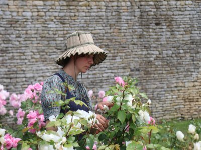 Diane Clermont, floricultrice, cultive des fleurs dans les jardins. Les visiteurs peuvent apprendre à se créer leurs propres bouquets. L'équipe propose désormais de fleurir les mariages accueillis dans la dépendance. 