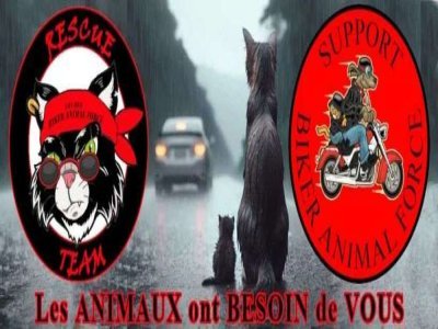 L'association Biker Animal Force vous accueille sur Saint-Arnoult. 