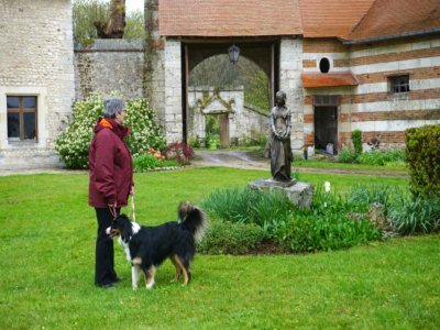 Au château d'Etelan vous pouvez visiter accompagné de votre compagnon à 4 pattes.