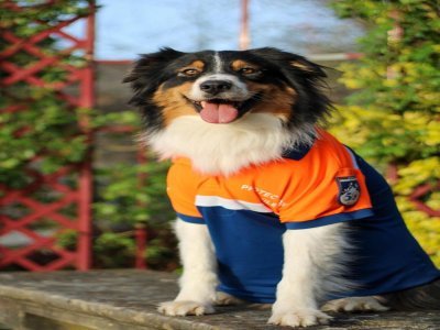 Les chiens ont aussi droit à leur uniforme de Protection civile.