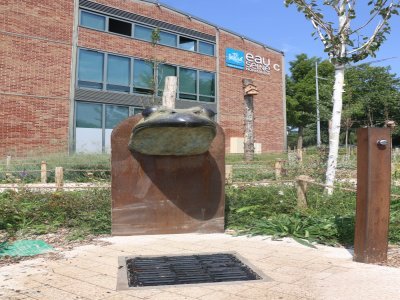 C'est une des caractéristiques de l'Agora, la fontaine en forme de grenouille. Elle se situe sur le côté gauche et mène aux espèces végétales fraîchement plantées et à un espace transat prisé de ceux qui souhaitent s'assoupir.