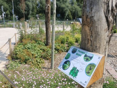 Huit panneaux ont été installés au sein de l'Agora. L'objectif étant de tous les trouver pour obtenir diverses informations liées à la nature. Chacun s'intitule "Parcours nature" et permet d'enrichir ses connaissances.