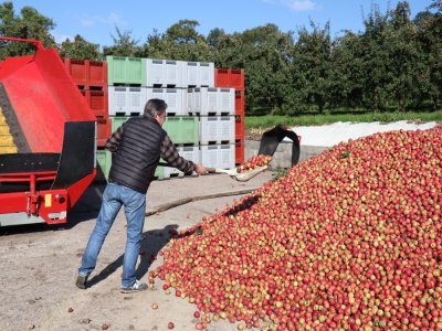 "L'an passé, nous avons produit entre 600 et 700 tonnes de pommes", me renseigne Jean Petrich, dont le domaine familial a bientôt 200 ans.